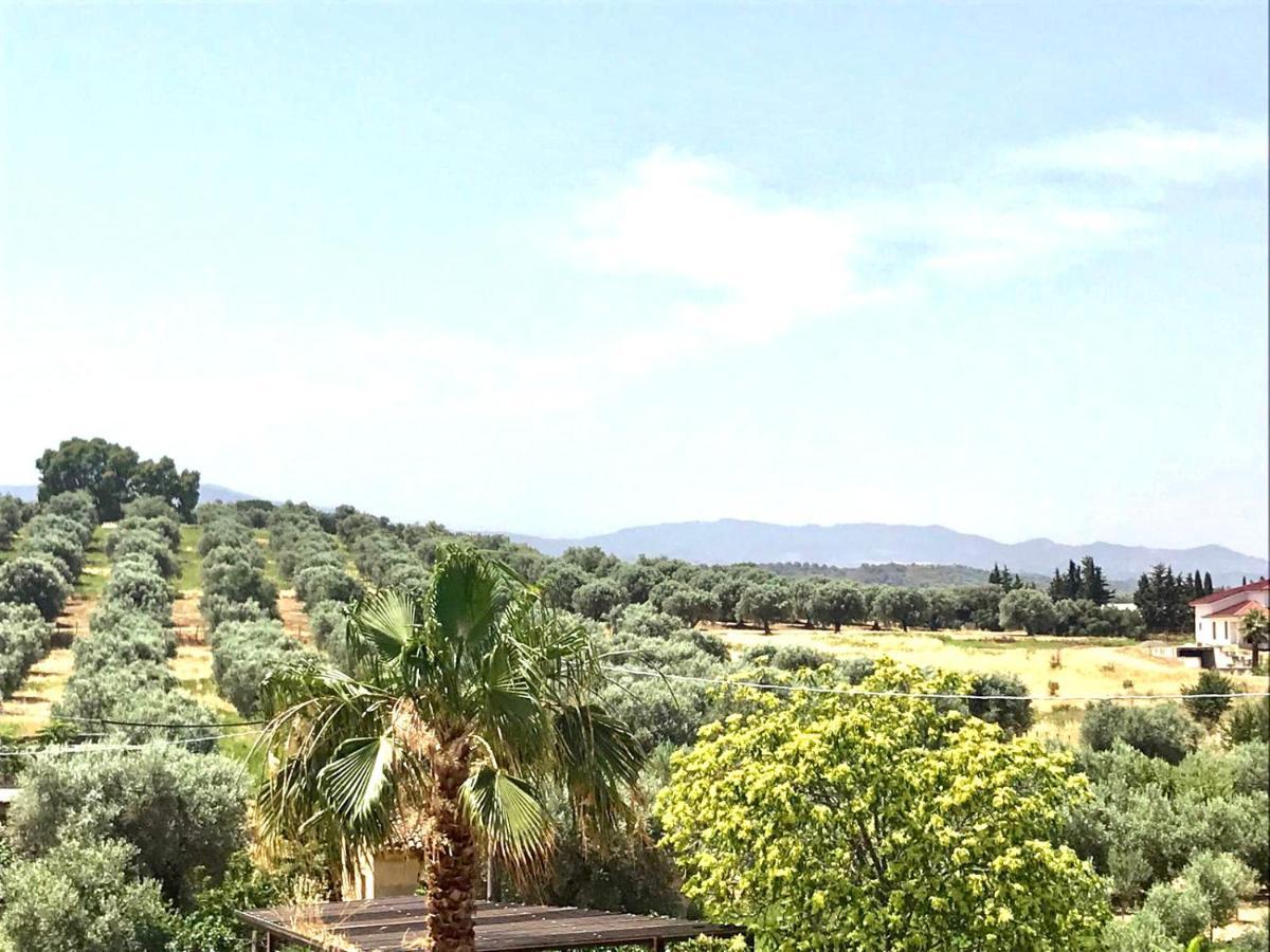 Casa Vacanze E Fitta Camere San Nico Корильяно-Калабро Экстерьер фото